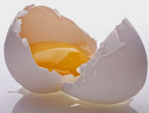 putih telur
