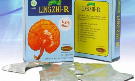 Mengenal Jamur Herbal” Lingzhi” dan Manfaatnya