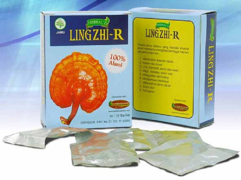 Mengenal Jamur Herbal” Lingzhi” dan Manfaatnya