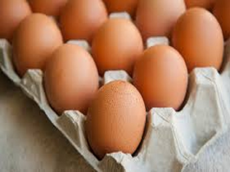 Alasan Mengapa Anda Harus Sering Makan Telur
