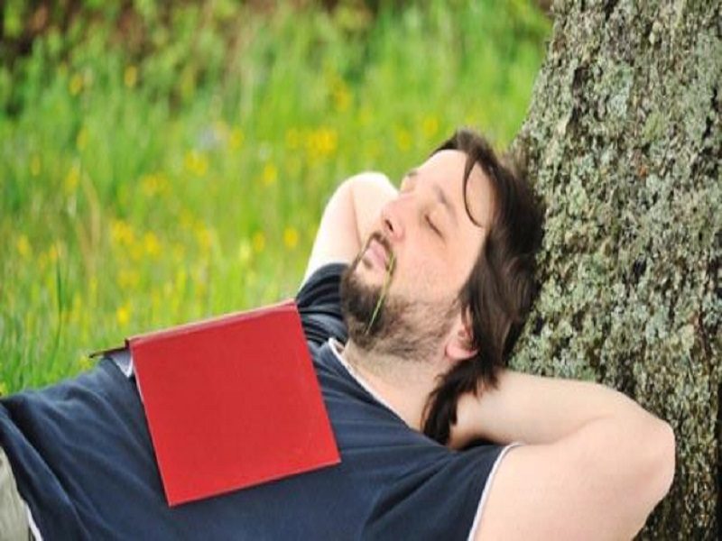 Sleeping tree. Sleeping man on Trees. Sleeping under a Tree. Man sleeping on nature Fire. Ugly sleeping nature.