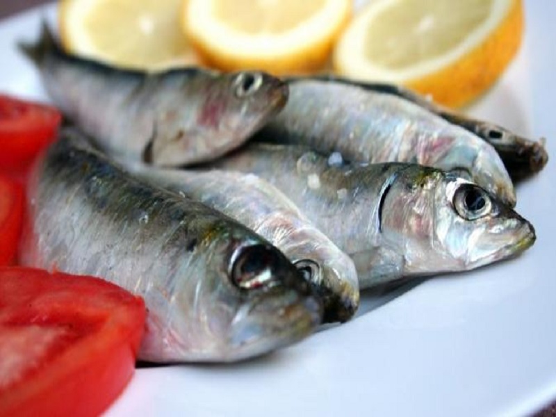 Ternyata Ikan Sarden Sangat Sehat untuk Tubuh