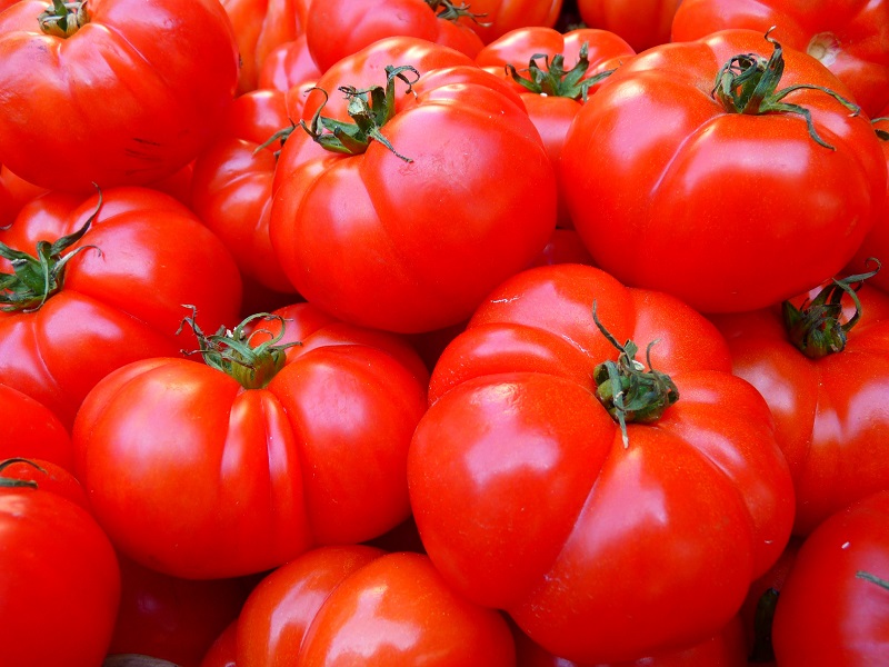 Ini Alasan Mengapa Anda Harus Makan Tomat Sekarang