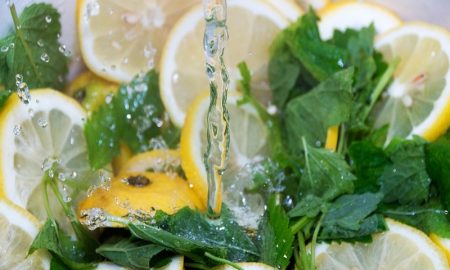 Mengenal Tanaman Lemon Balm dan Manfaatnya untuk Kesehatan