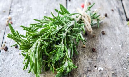 Herbal Tarragon Asal Perancis yang Kaya Manfaat untuk Kesehatan