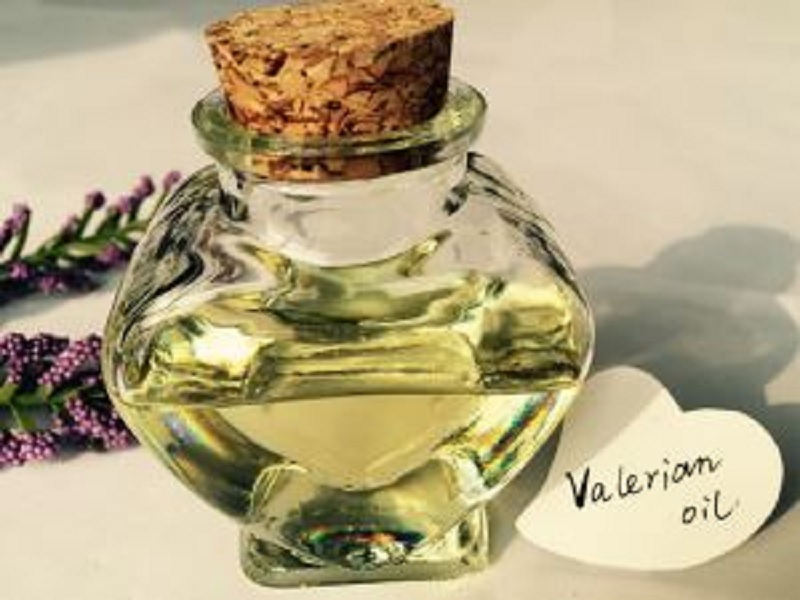 Mengenal Keuntungan Menggunakan Herbal Minyak Valerian
