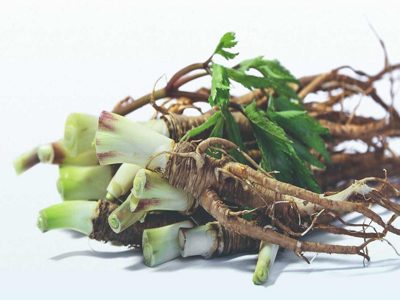 Manfaat Herbal Dong Quai untuk Kesehatan