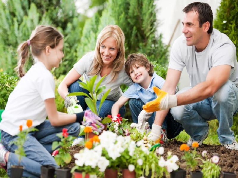 Manfaatnya Berkebun Bagi Keluarga Untuk Kesehatan Fisik dan Mental