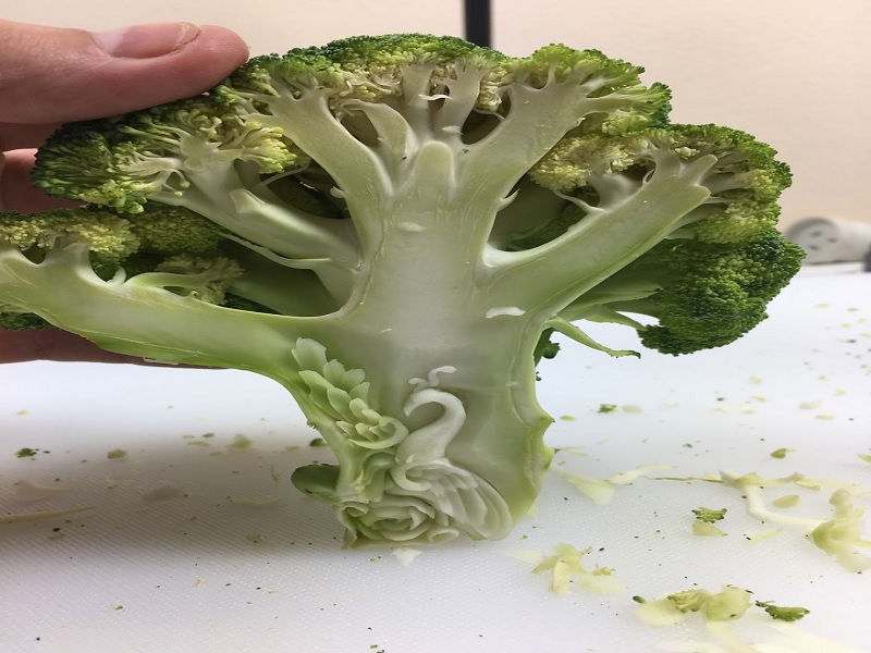 ukiran brokoli penuh dengan nutrisi untuk tubuh