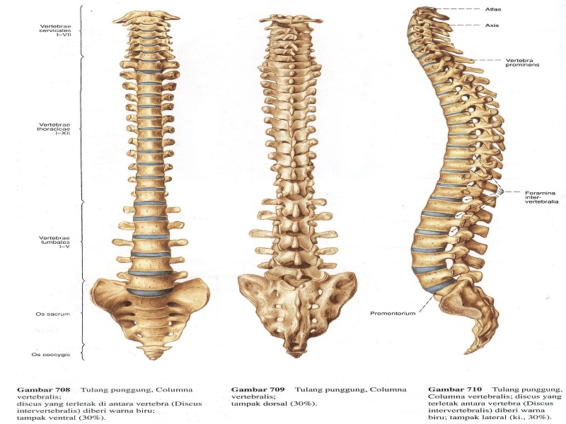gejala gangguan tulang belakang