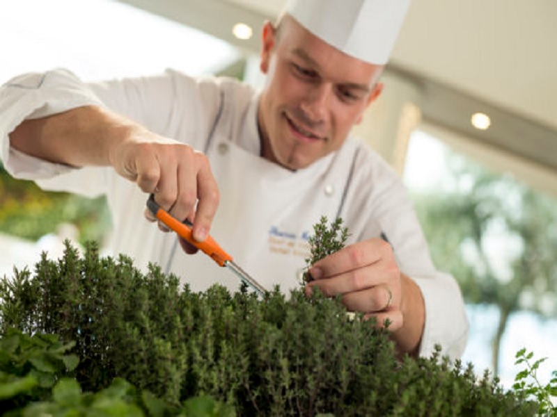 cara chef restoran memasak dengan bahan herbal