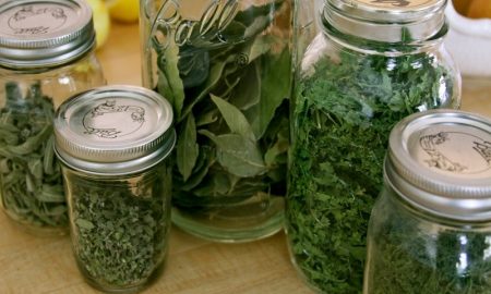 cara mengawetkan herbal tanpa mengurangi khasiatnya