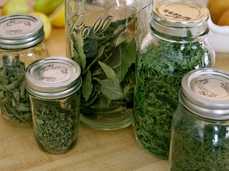 cara mengawetkan herbal tanpa mengurangi khasiatnya