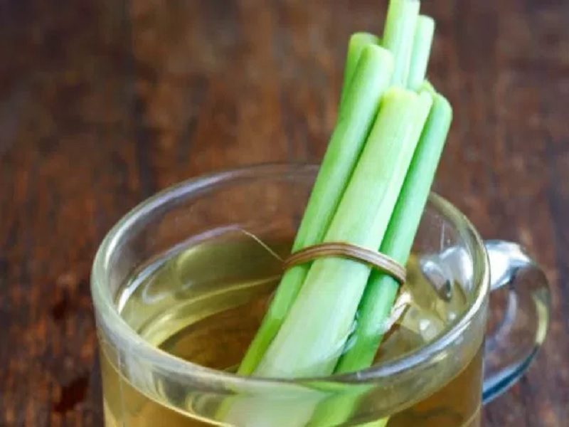 Herbal untuk mengatasi perut kembung saat puasa – Tips 