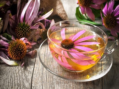 herbal yang mencegah tubuh sakit saat puasa