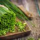 Khasiat daun bawang untuk menyembuhkan penyakit