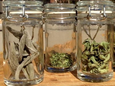 cara menyimpan herbal kering agar tidak rusak.1