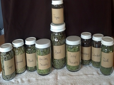 cara menyimpan herbal kering agar tidak rusak.4
