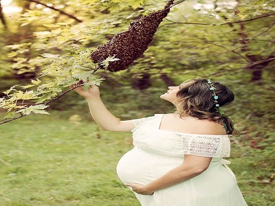 efek kesehatan ibu hamil yang disengat lebah.2