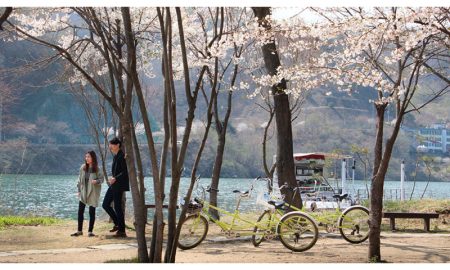 wajib tahu tempat-tempat romantis di Korea