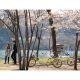 wajib tahu tempat-tempat romantis di Korea